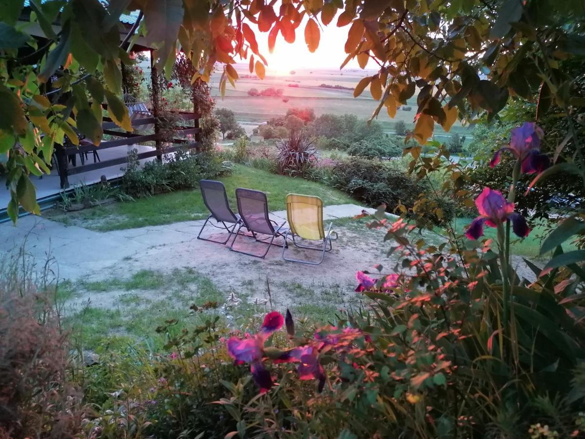 Baranja Black Hill'S Gajic Exterior foto
