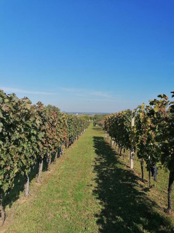 Baranja Black Hill'S Gajic Exterior foto