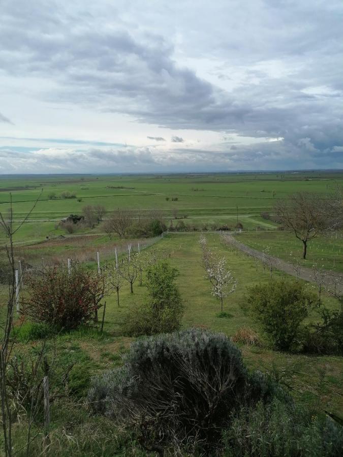 Baranja Black Hill'S Gajic Exterior foto